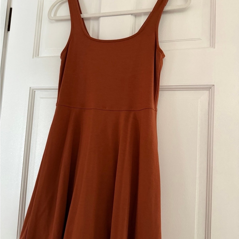 American Eagle Outfitters Terracotta Tank Top